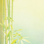 decadry a4 papier bamboe dpf613