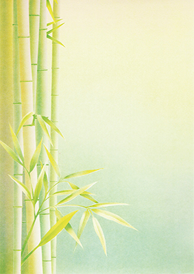decadry-a4-papier-bamboe-dpf613