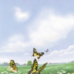 decadry-a4-papier-vlinders-dpf653