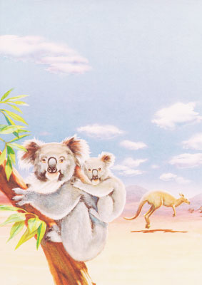decadry-thema-papier-koala-dpf615